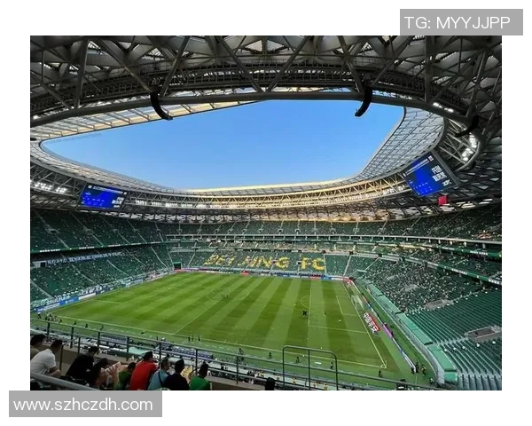 足球场上的传奇巨星他们用激情与实力书写辉煌历史