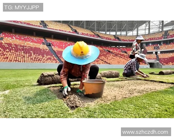 重庆足球队比赛经验分析及其对战绩的影响探讨 重庆足球队比赛经验分析及其对战绩的影响探讨