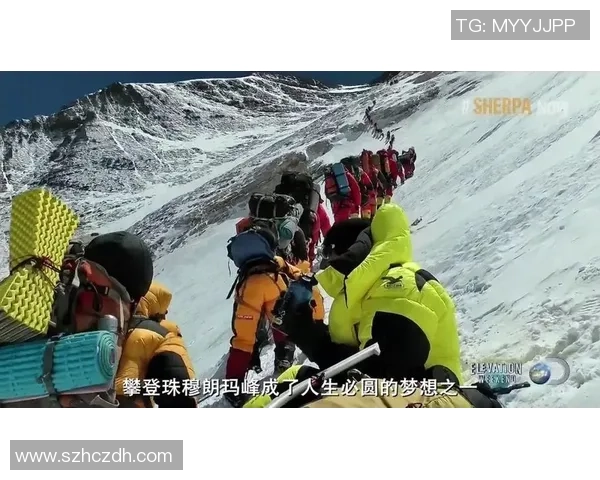 从零开始：攀岩团队协作完全攻略